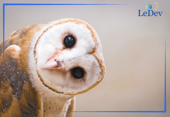Leadership Essentials Article